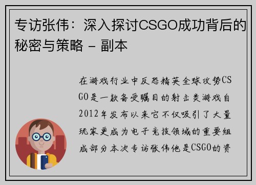 专访张伟：深入探讨CSGO成功背后的秘密与策略 - 副本